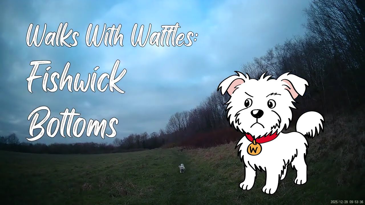Walks With Waffles - Fishwick Bottoms