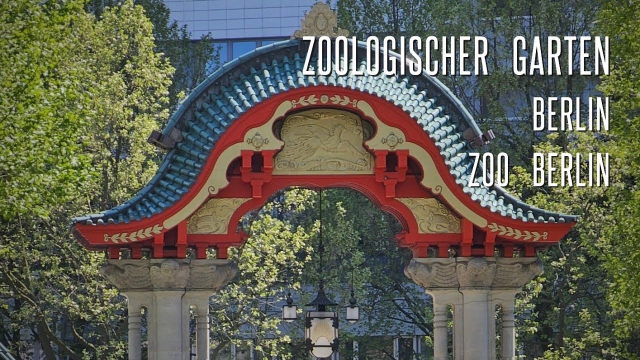 Zoologischer Garten, Berlin #zoo #berlin #bestofberlin #nature #animals #wildlife #lion #naturelover