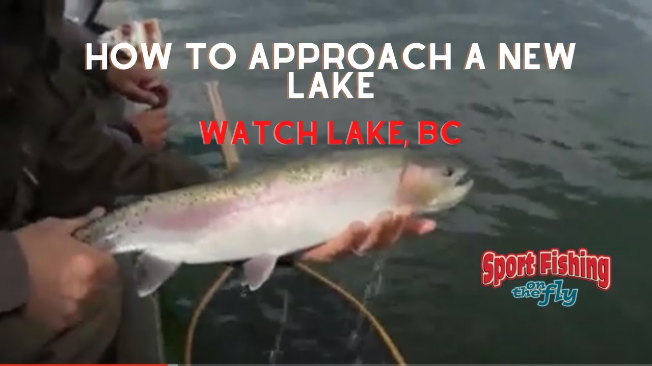 FLY FISHING: HOW TO APPROACH FLY FISHING A NEW LAKE
