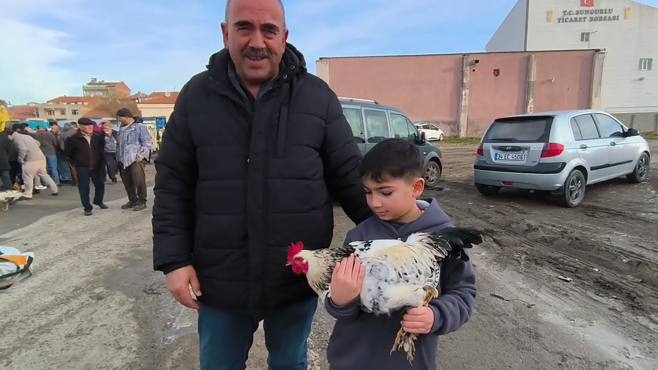 ÇORUM SUNGURLU TAVUK PAZARI 29 OCAK 2026