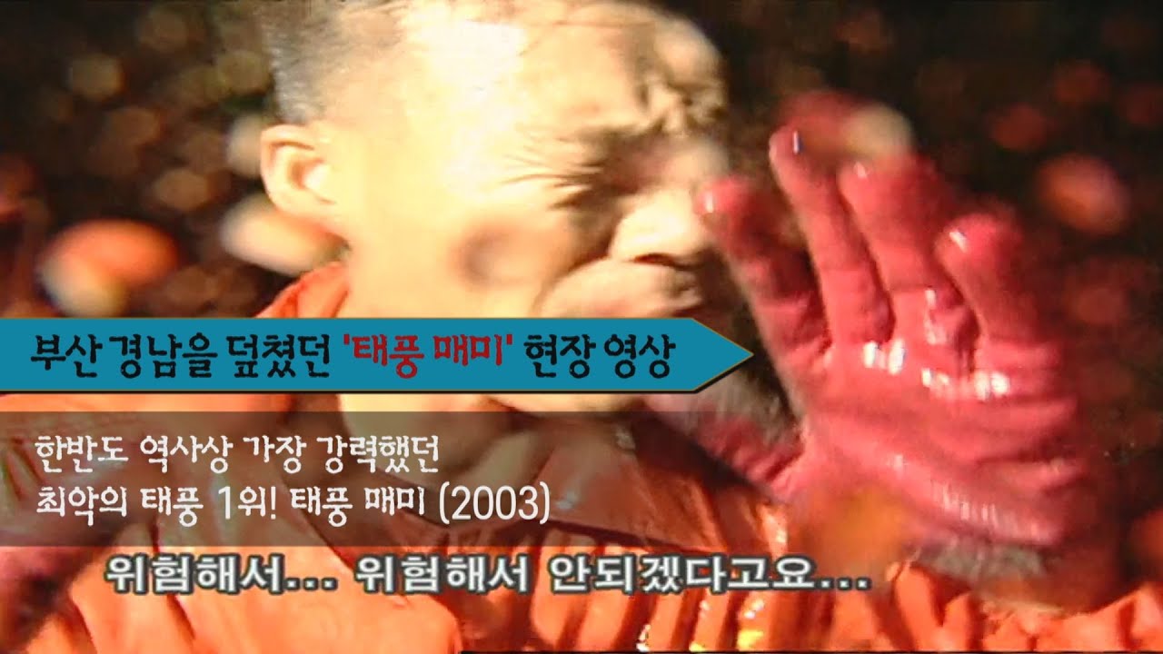태풍 매미 직격탄! 부산 경남을 덮쳤던 슈퍼 태풍의 실제영상!