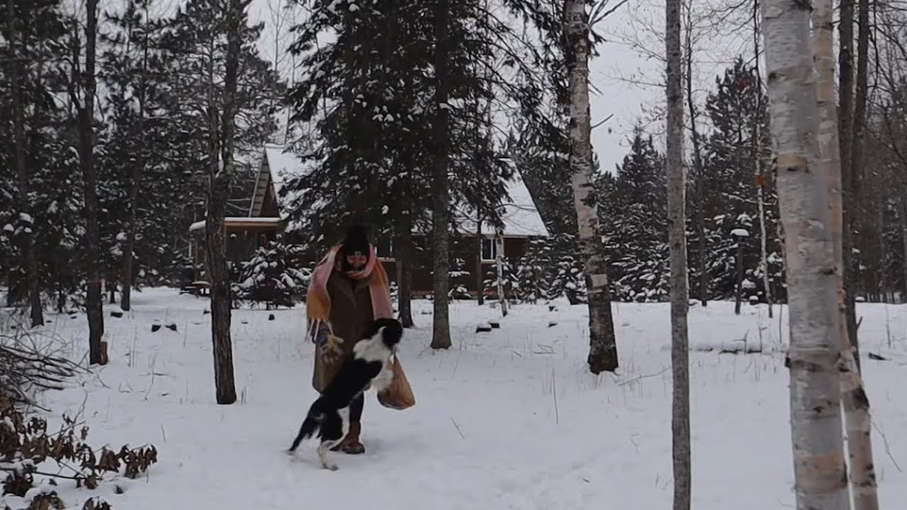 Our life in the Northwoods: -30°F day at the homestead