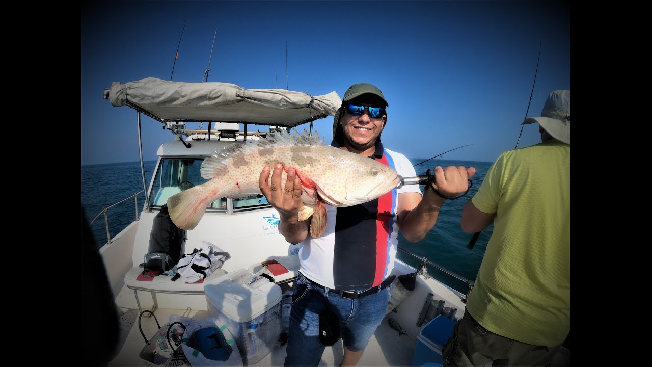 How to catch Grouper's - Fishing Adventures