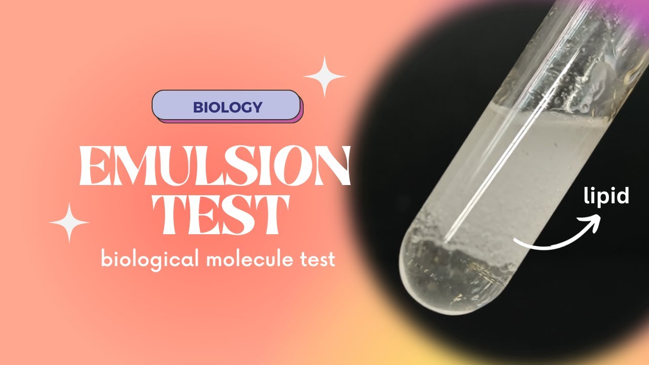 [9700] Cambridge International A-Level Biology Lab: Emulsion Test | Testing for Lipids [ChemPraxis]