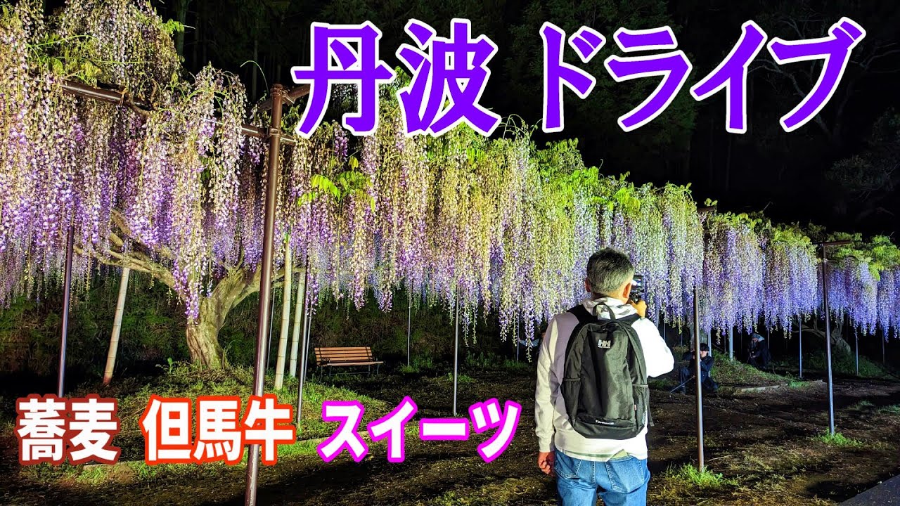 丹波市道の駅 ～珍しい但馬牛の店  割合選べる蕎麦屋  お気に入りスイーツ店  丹波竜の里