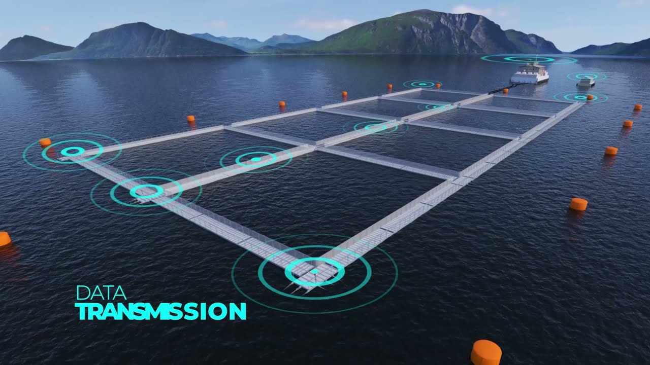 Innovex  fish farming monitoring