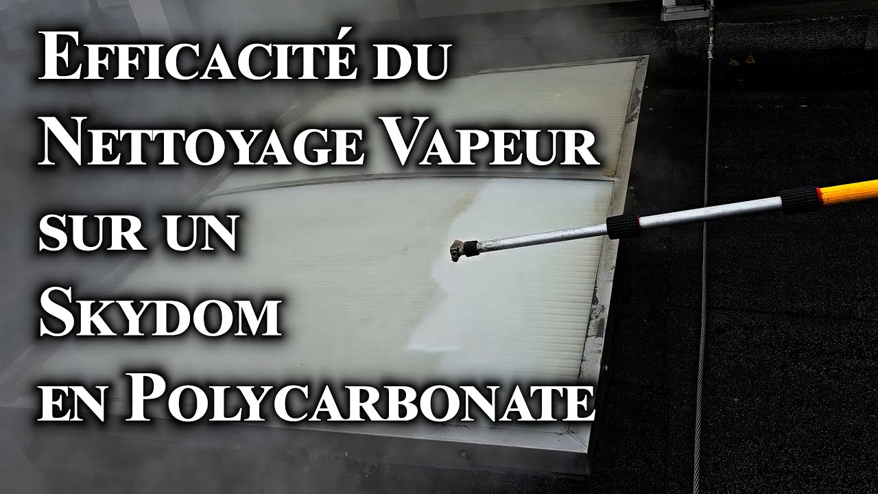 Démoussage Nettoyage de Skydom en polycarbonate par vapeur basse pression.