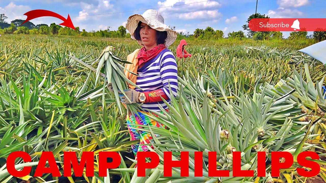 CAMP PHILLIPS MANOLO FORTICH BUKIDNON PHILIPPINES 2024