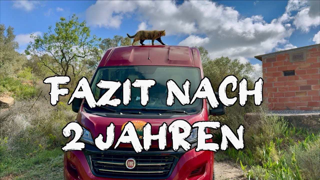 Mit Katzen im Camper – Unser ehrliches Fazit!