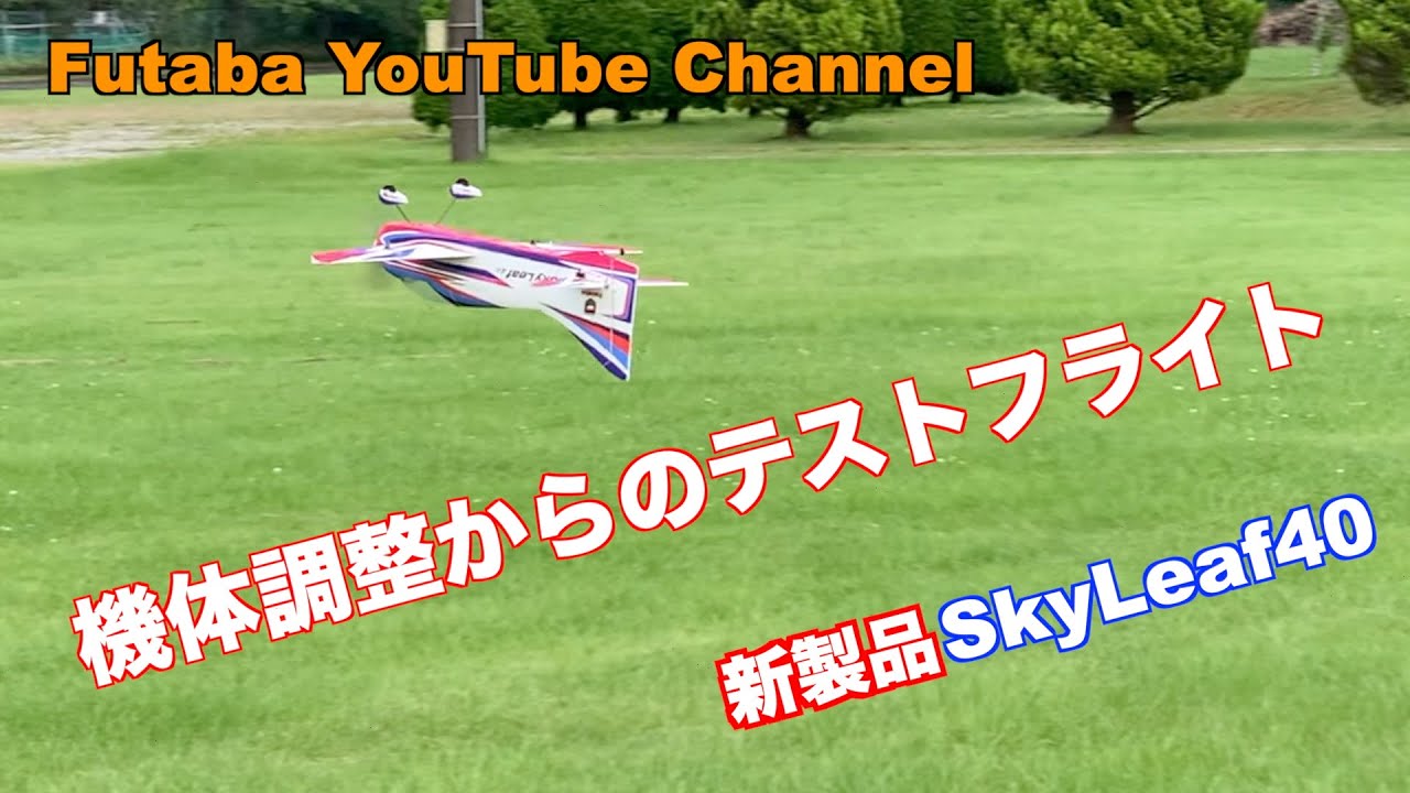 Sky Leaf 40  フライト編