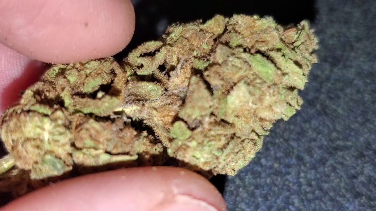 Trash pack Vs Gas Pack (BEWARE OF MOLDY WEED!!!) How to identify MOLD