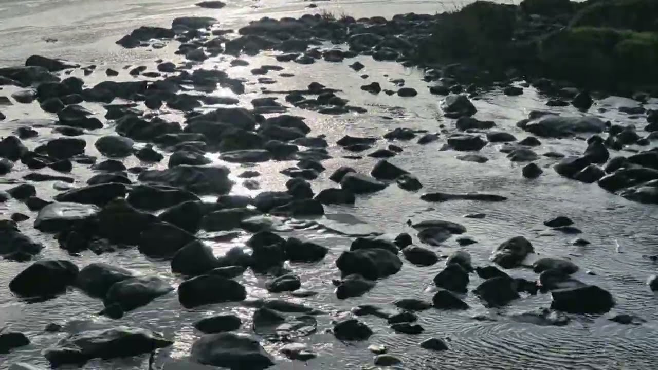 #50 Walking the Solway Firth 2025 - Powfoot 