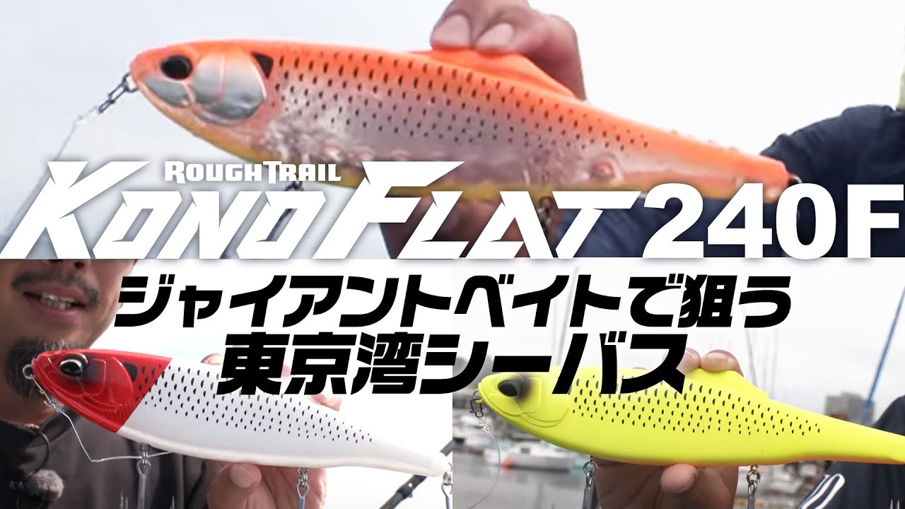 【シーバス】ビッグベイトパターンでランカーシーバスを狙え