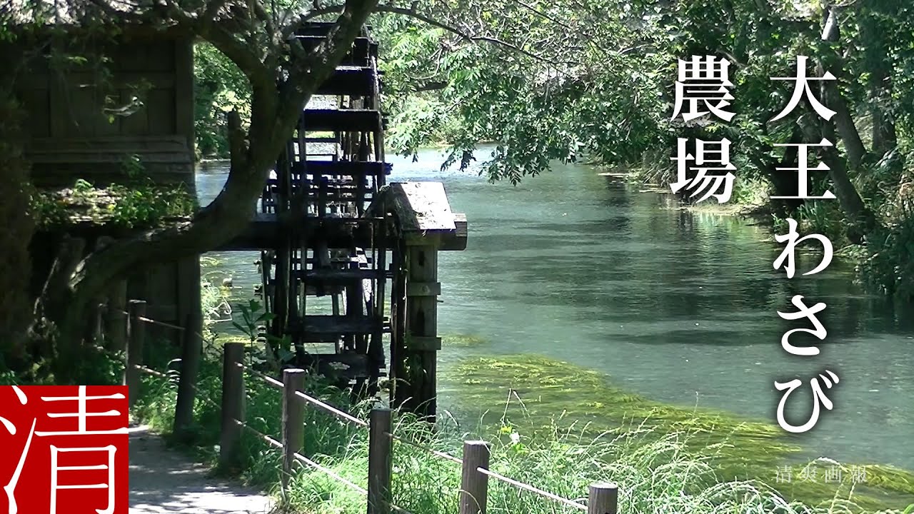 【自然浴60分】大王わさび農場 / 長野県安曇野市 - Nature Sounds 60min