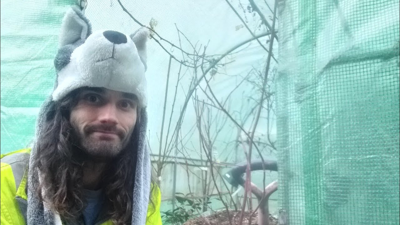 How to make blueberry compost. (Mixture 1).