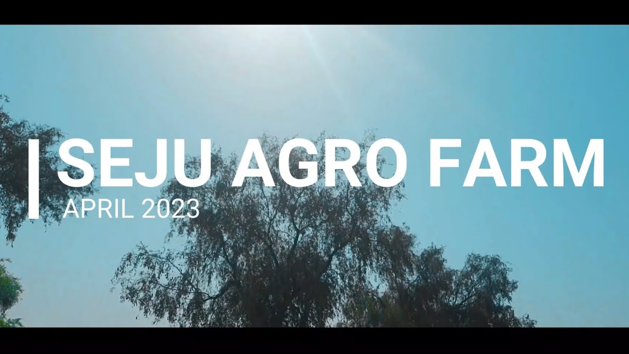 SUMMER FARM VIDEO