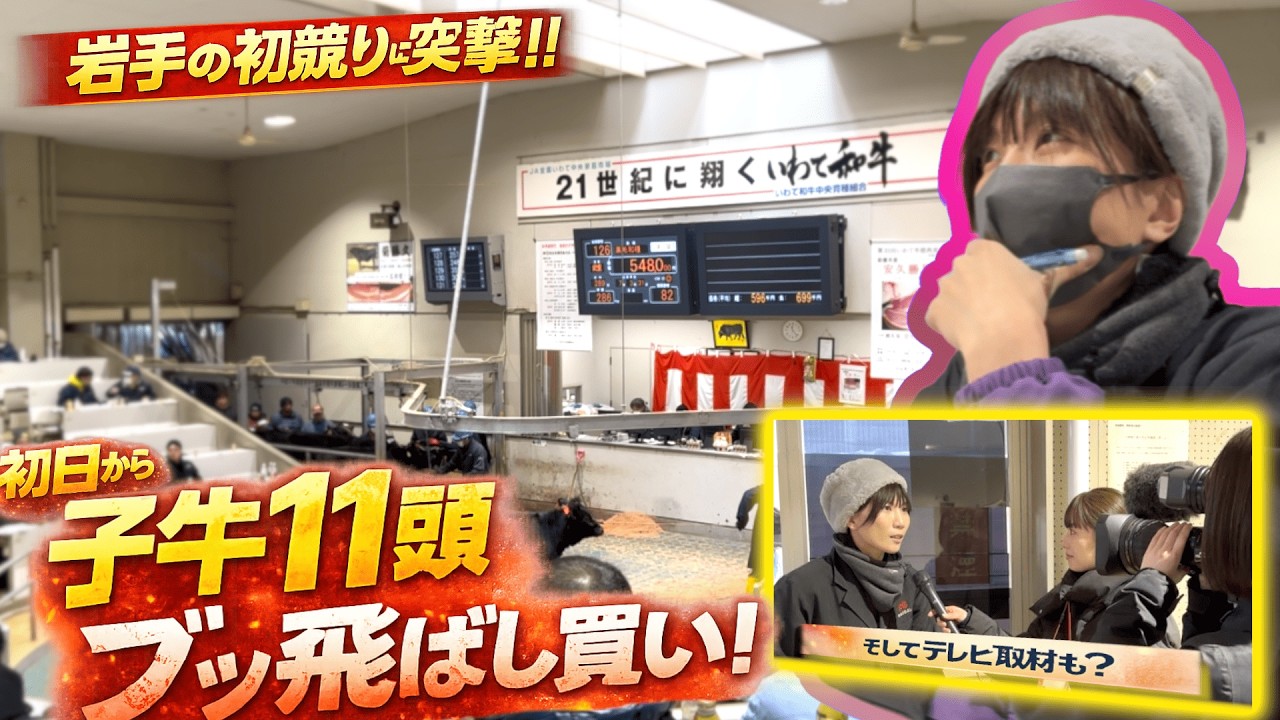 【初競り潜入】岩手の子牛市場で肉屋の社長がガチンコ勝負！！【前編】
