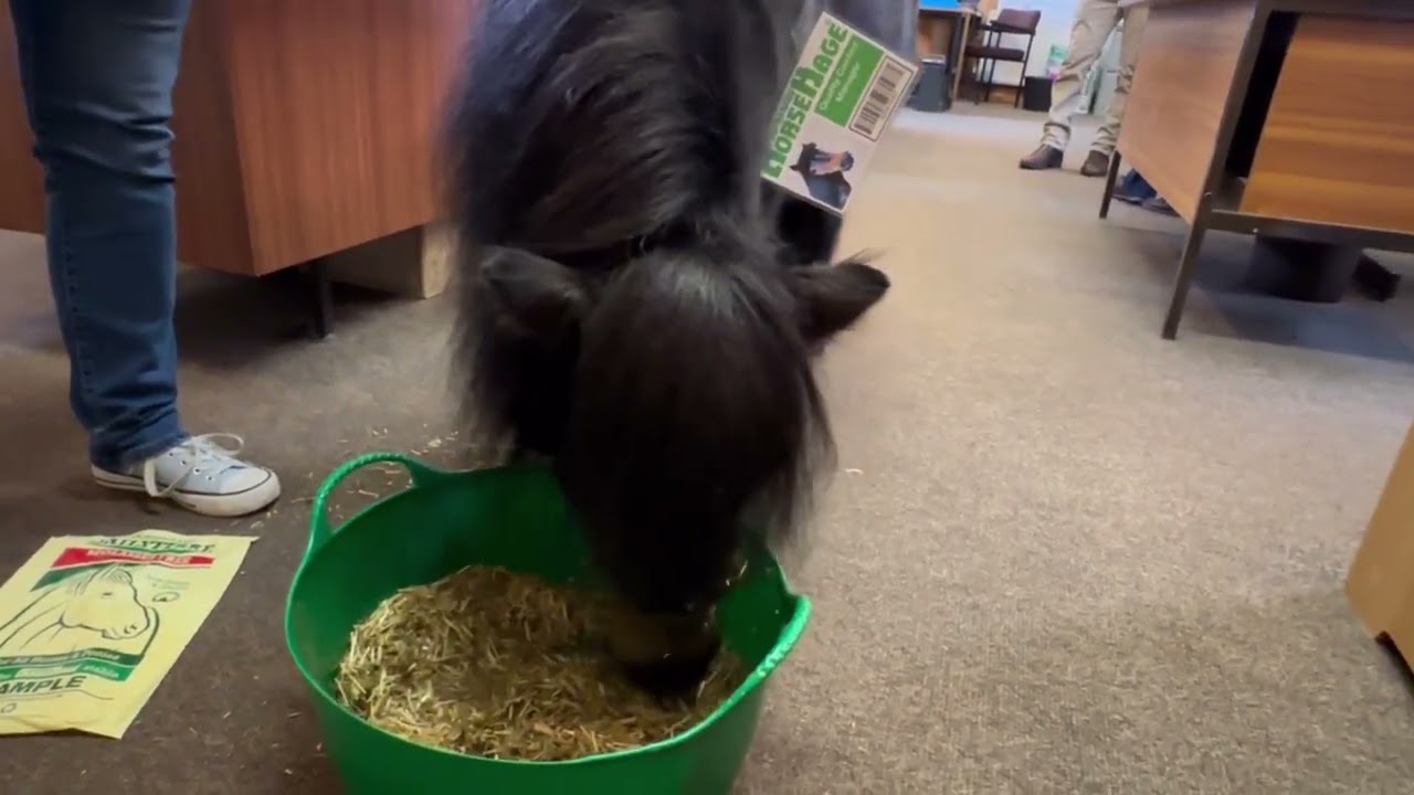 New Quality Control Manager