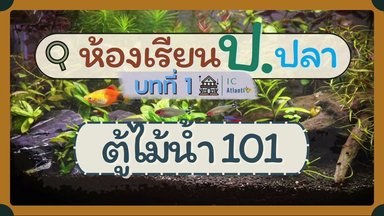 ห้องเรียนป.ปลาIC บทที่1 