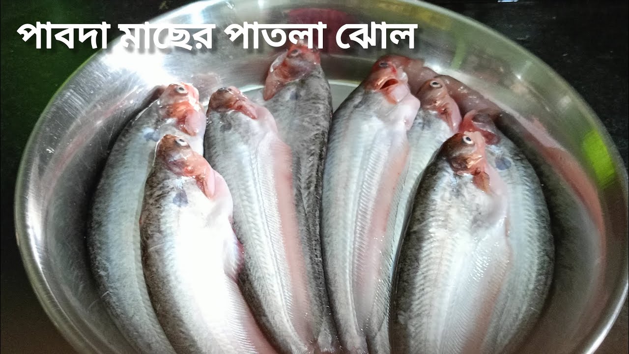 Pabda Fish Curry|পাবদা মাছের পাতলা ঝোল|Traditional Bengali Patla Jhol Recipe|Mou's Kitchen 