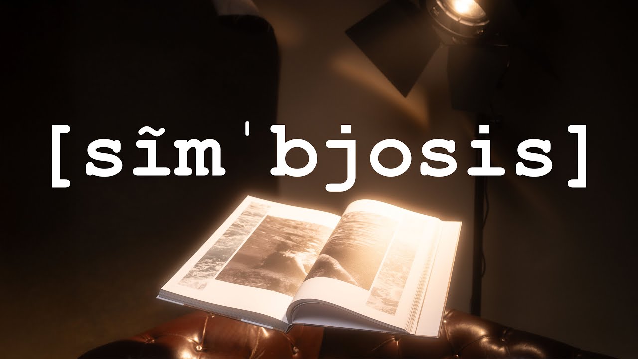 SIMBJOSIS - OUT NOW! 📷 Krolop&Gerst