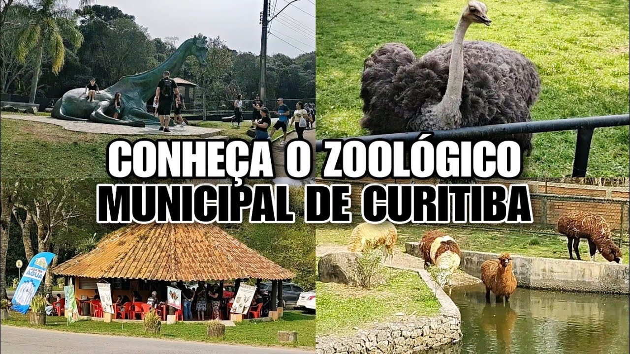 Passeio pelo Zoológico de Curitiba, Conheça os Animais e a Natureza !