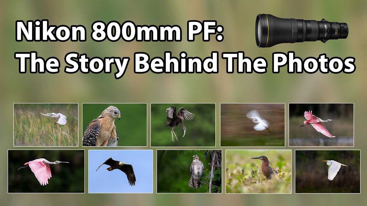 Nikon 800PF: The Story Behind The Photos
