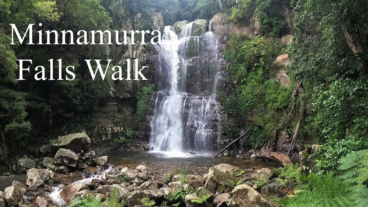 Walk & Talk - Episode 55 - Minnamurra Falls Walk