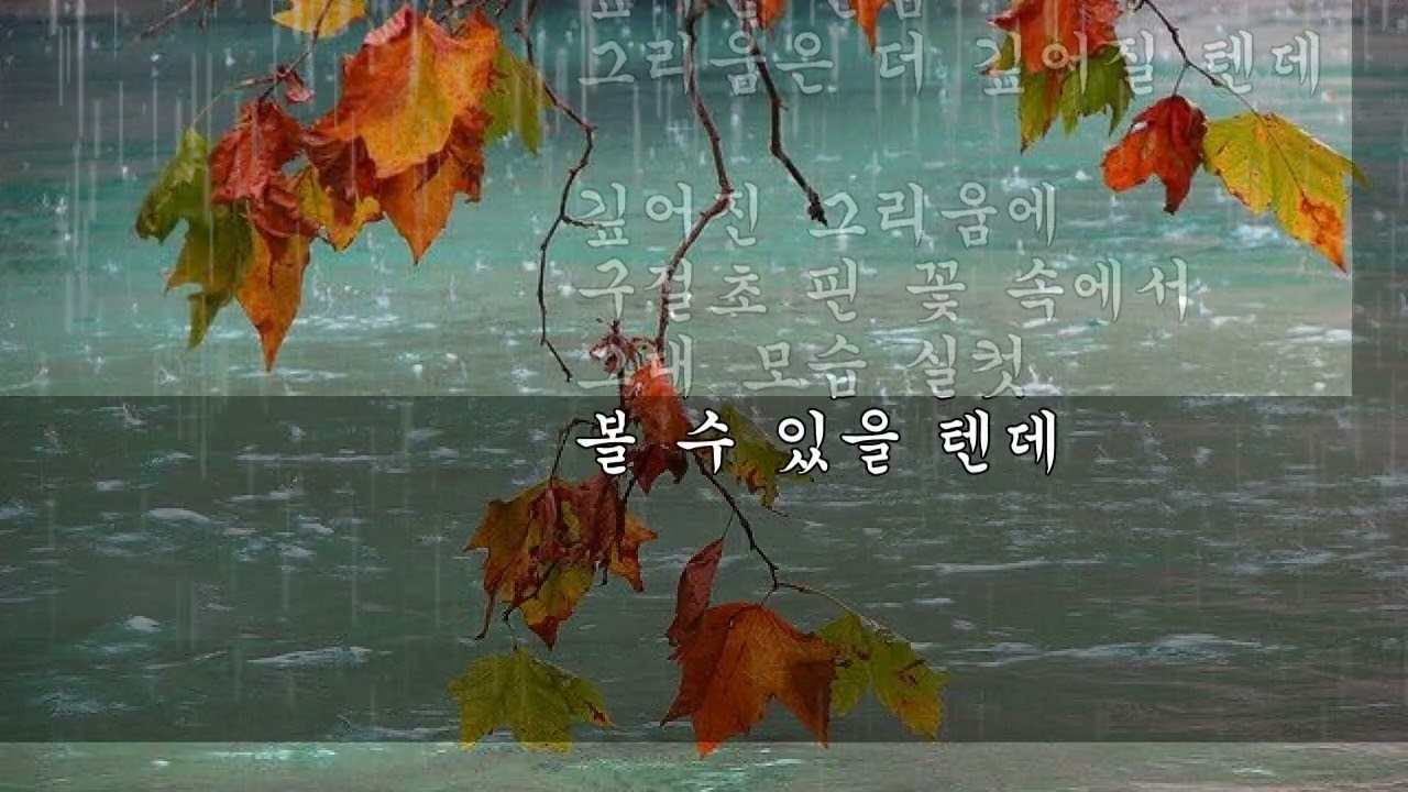 가을비 내린다고* 윤보영 시  2026년 2월 13일