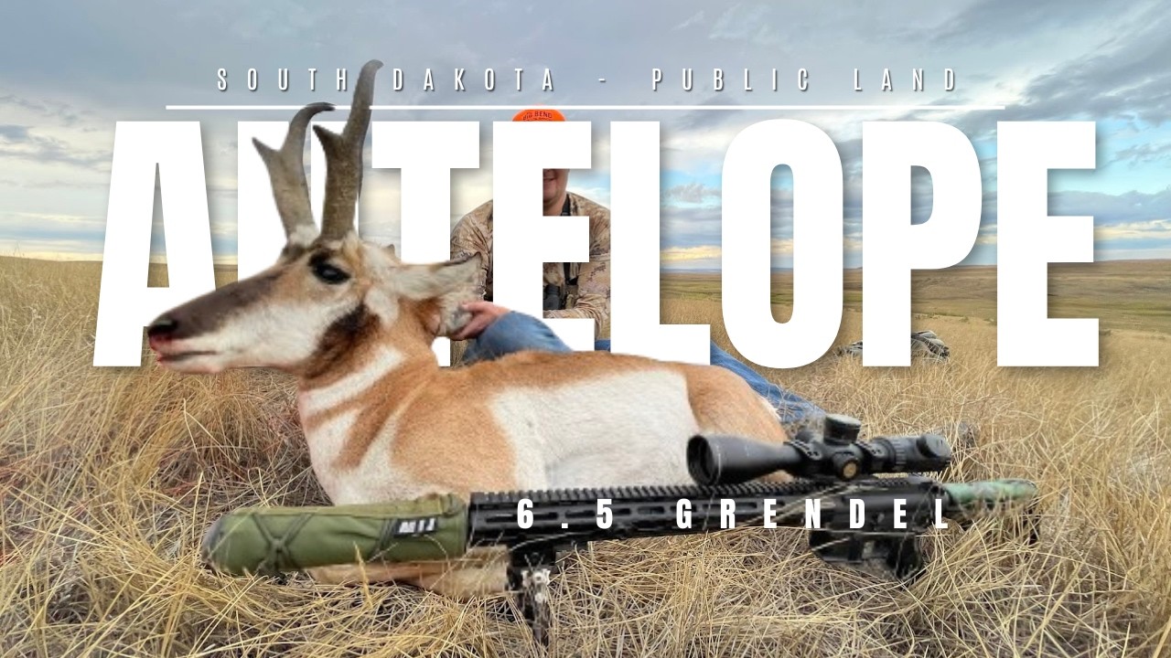 Hunting Antelope in South Dakota with a 6.5 Grendel! Public Land #antelopehunting