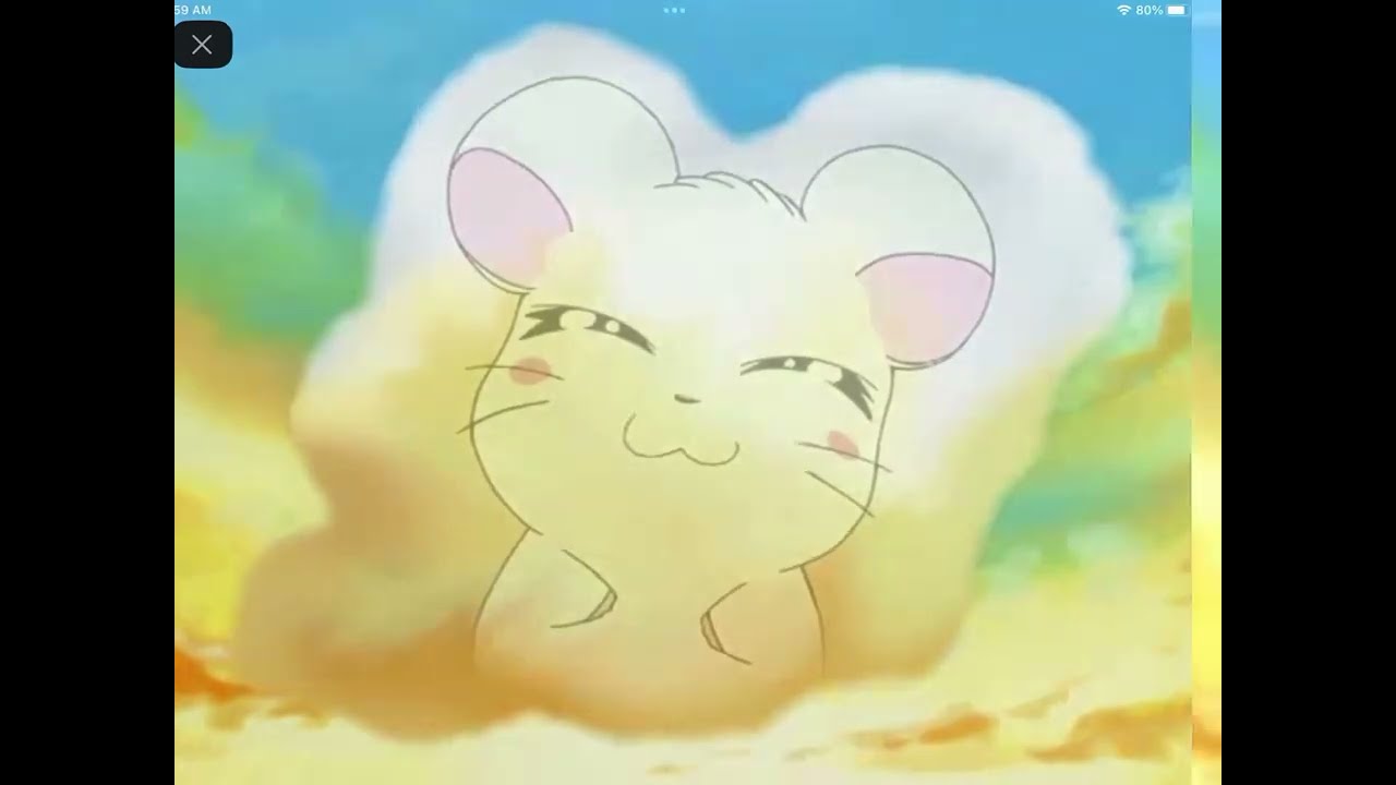 In the Memory of Yuki (Mother) from Hamtaro Happy Brithday Day