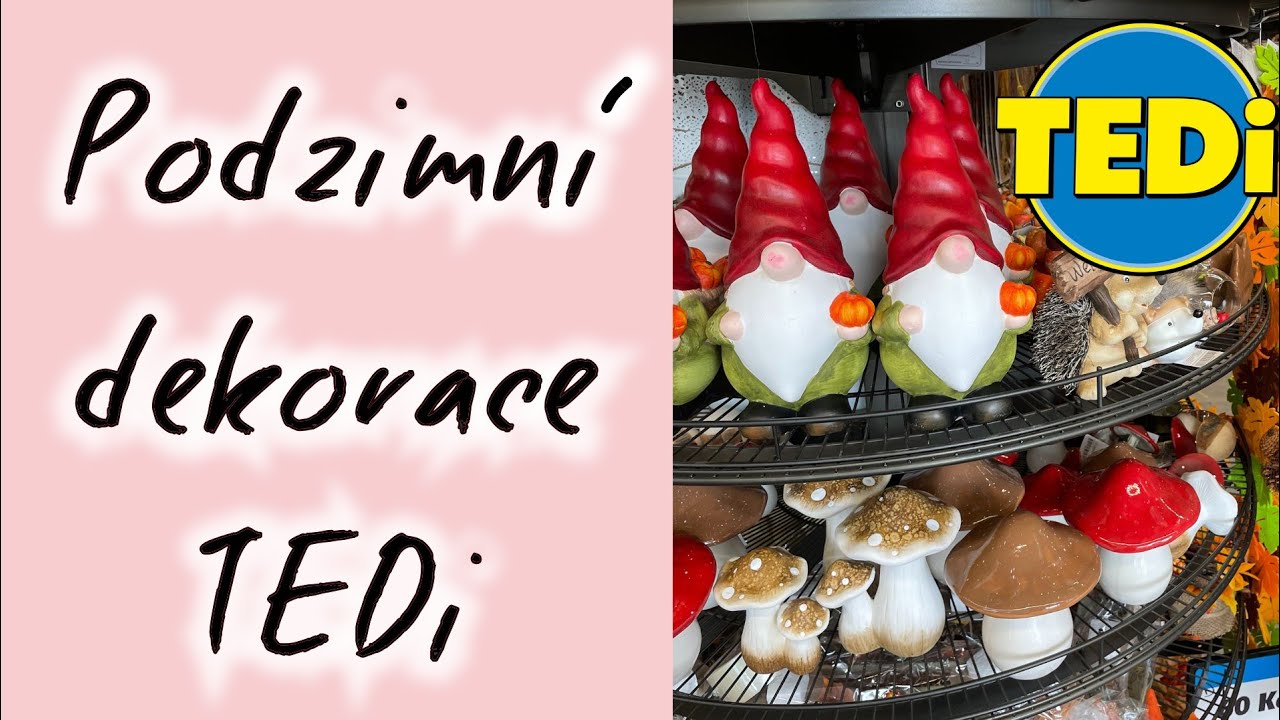 Pojďte se mnou NAKUPOVAT! Podzimní dekorace z TEDi