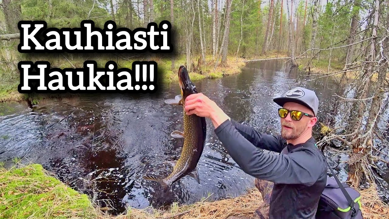 Avovesikauden avaus Ranualla 2025 - Hauki mahottomalla purulla!