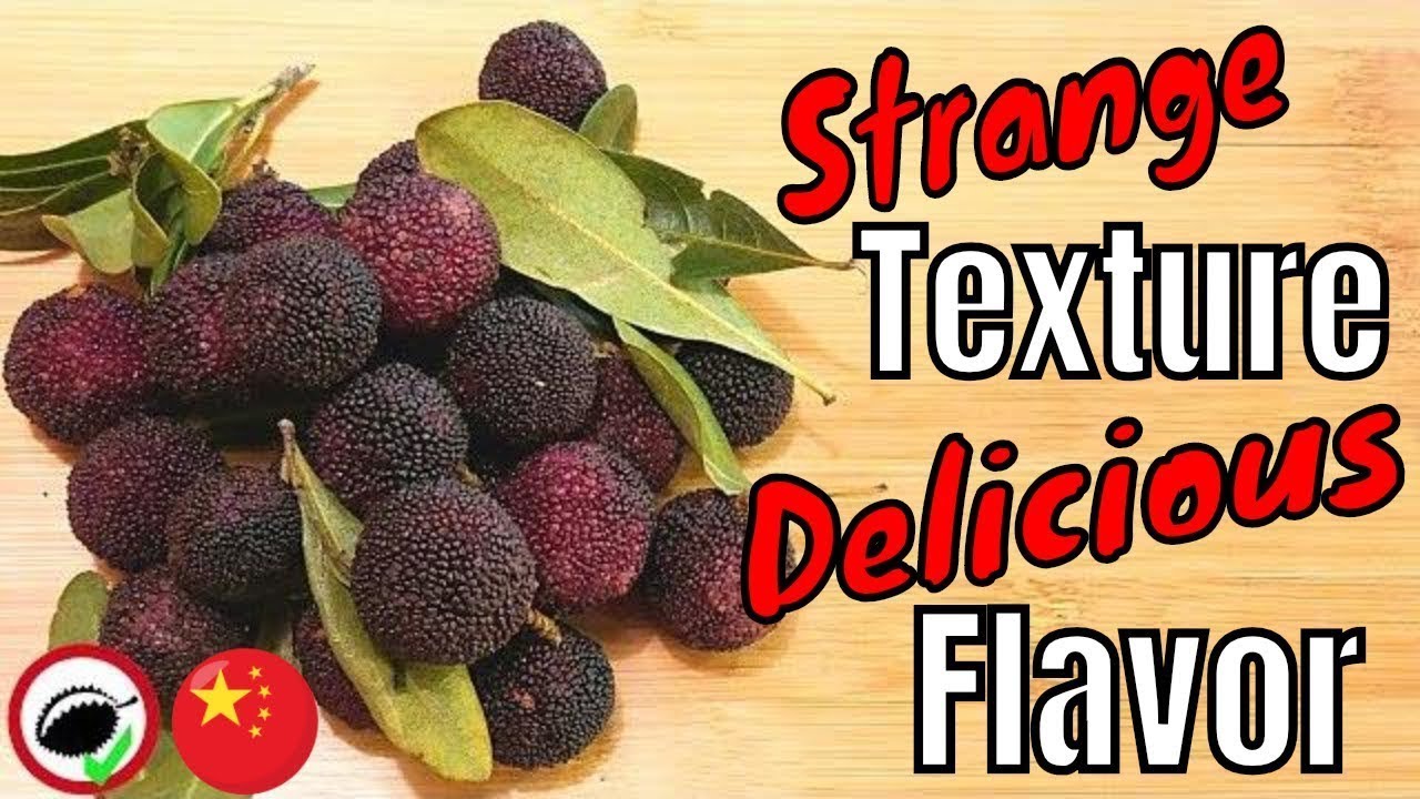 CHINESE BAYBERRY Review (Myrica rubra) - Weird Fruit Explorer in CHINA - Ep. 318