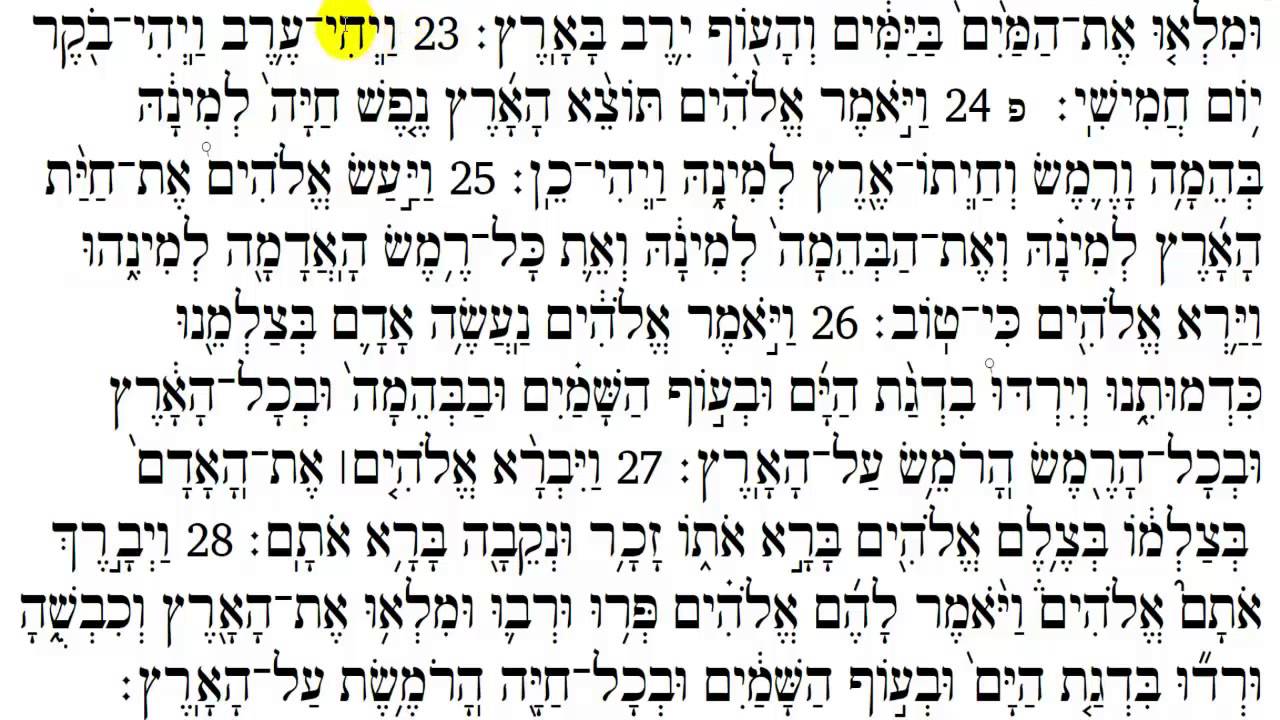 Torah Reading - Genesis Chapter 1