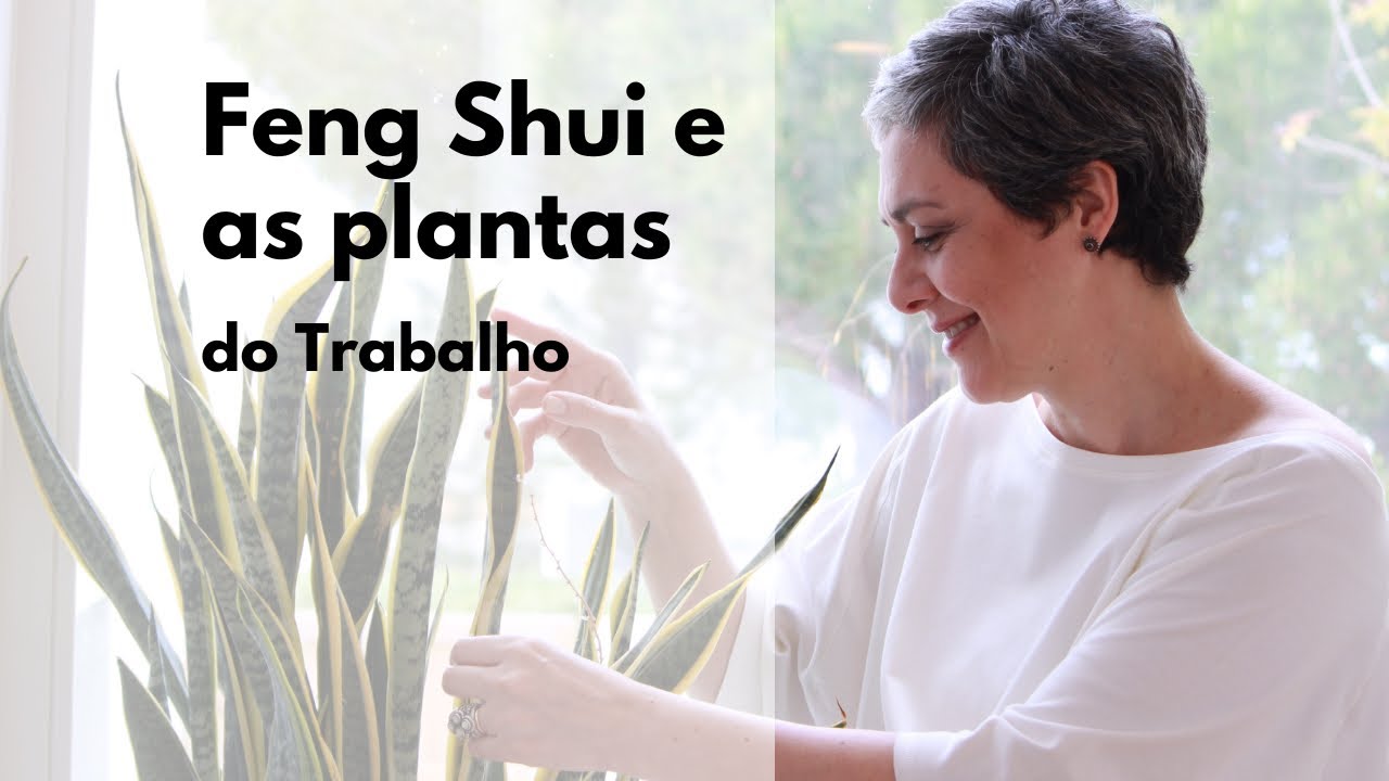 🌱QUE PLANTAS TER NA ÁREA DO TRABALHO SEGUNDO O FENG SHUI?