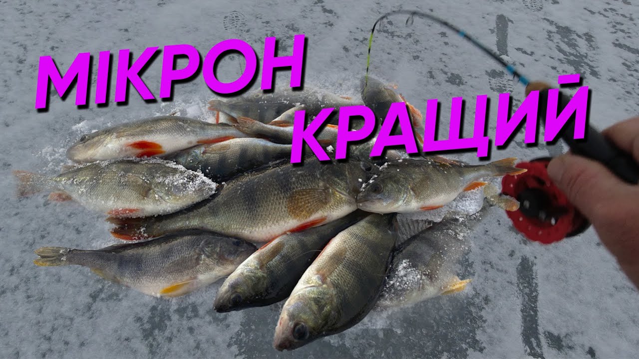 ЛОВИМ ОКУНЯ та ЩУКУ на КРАЩИЙ БАЛАНСИР МІКРОН !!!