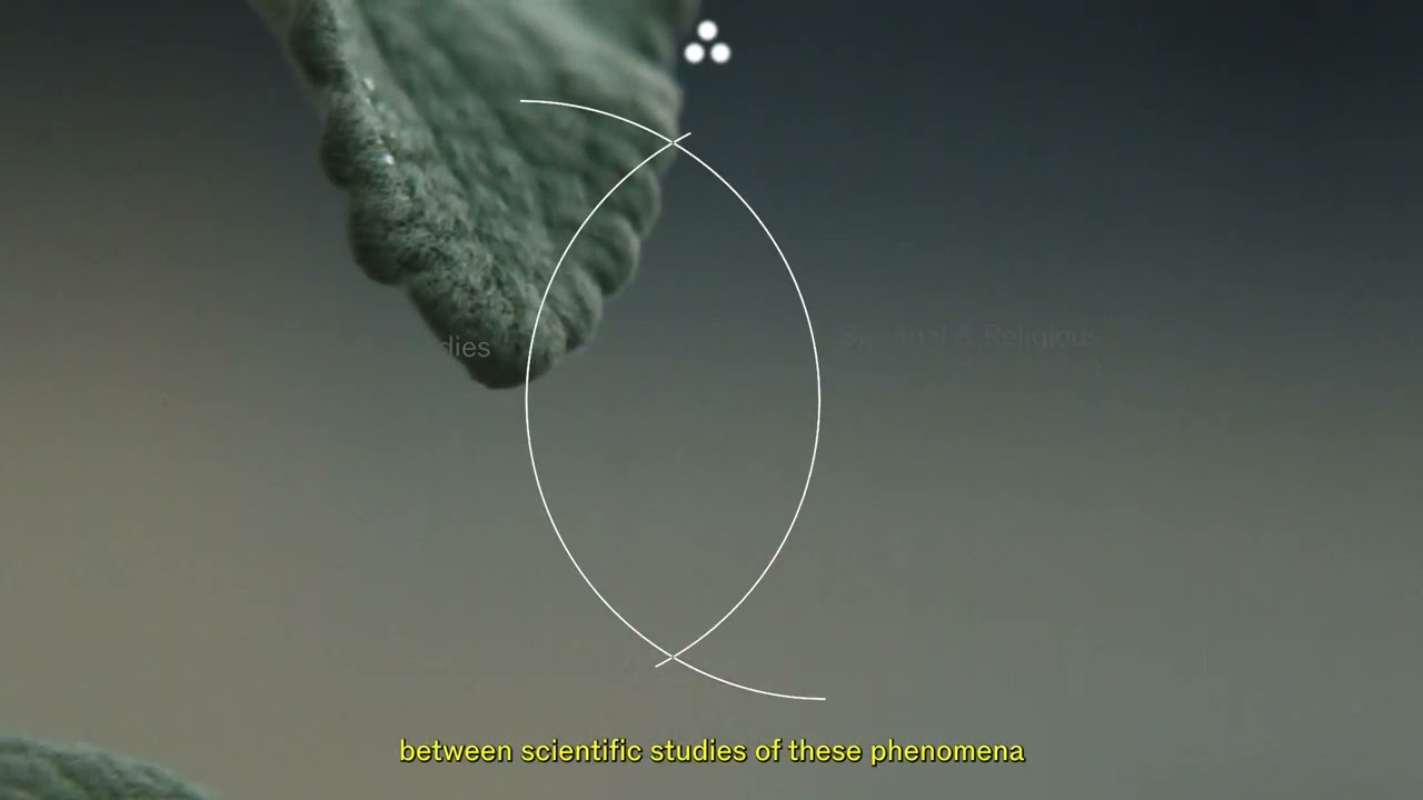 Why You Need Many Sciences, Not One with Dr Rupert Sheldrake
