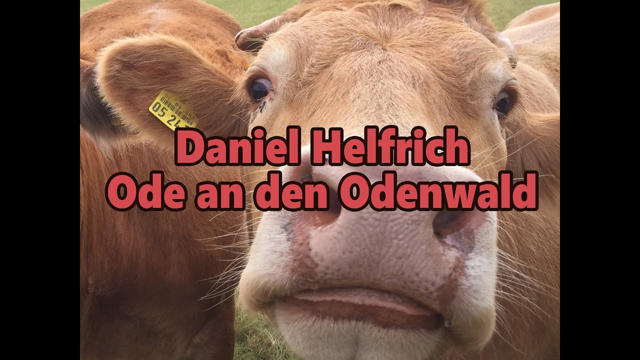 Daniel Helfrich - Ode an den Odenwald