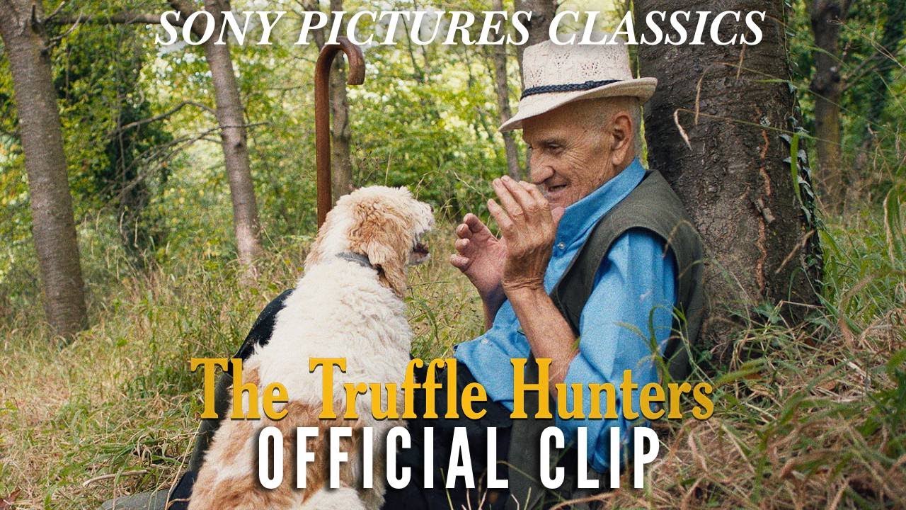THE TRUFFLE HUNTERS | 