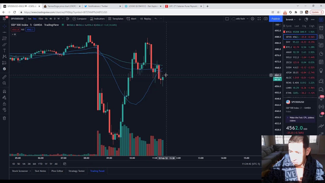 Bitcoin + Crypto Analysis + $MRI Marshall Rogan Dogcoin paying UFC Fighter more? $Crop Update