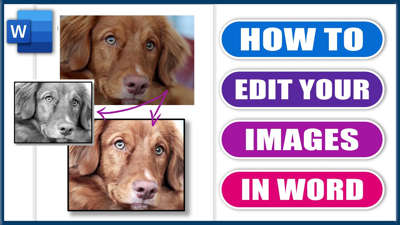 How to Edit Images in Word | Microsoft Word Tutorial