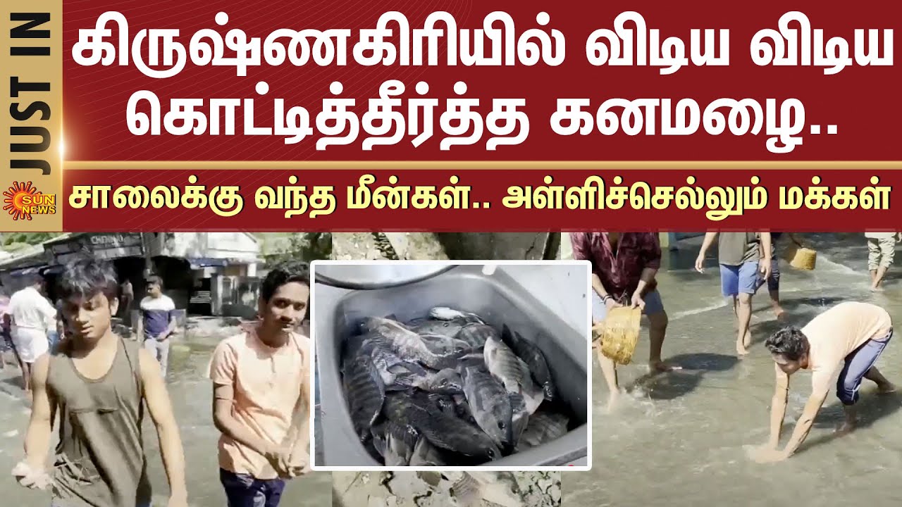 Heavy rain in Krishnagiri | Fish that came to the road | People rushing in droves | Sun News