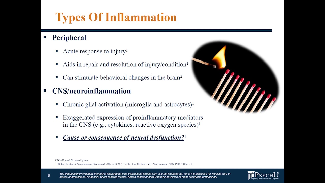 Psychoneuroimmunology: Immune System and Neuroinflammation Basics Part 1 in PNI Series
