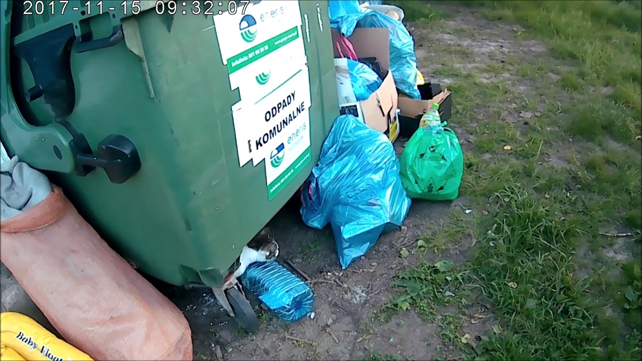 Poszukiwanie złomu przez Condesa. Znalazłem Kotkę!