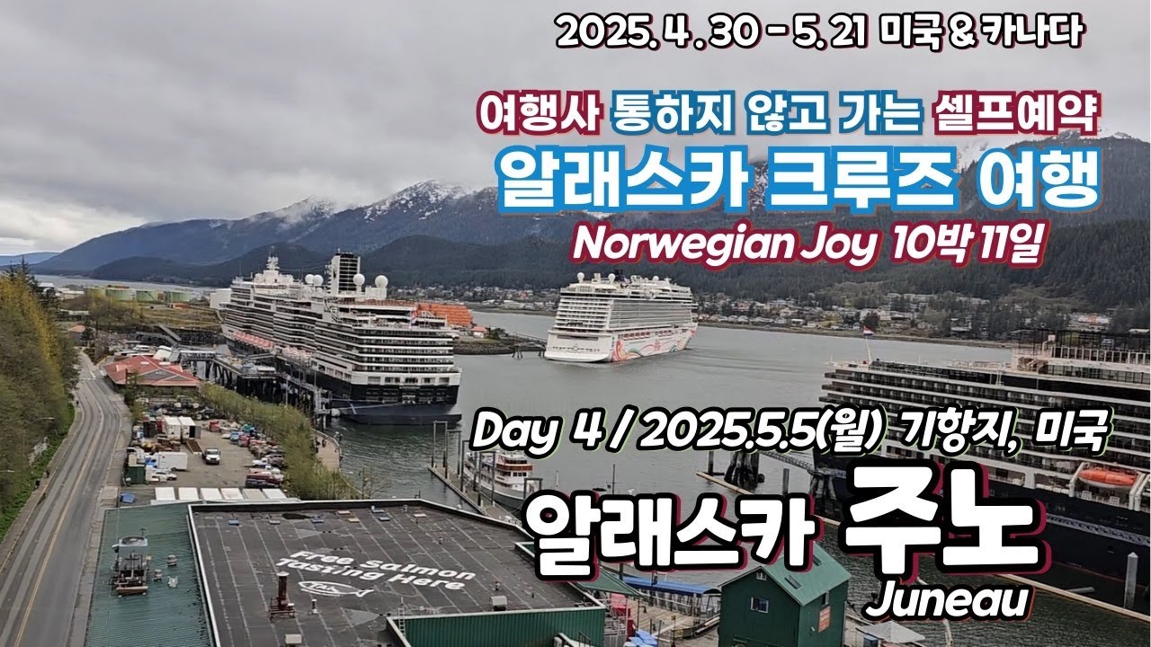 (알래스카 크루즈, 기항지 주노) 여행사 통하지 않고 가는 셀프예약 알래스카 크루즈 Norwegian Joy 10박11일 4일째날(2025.5.4)