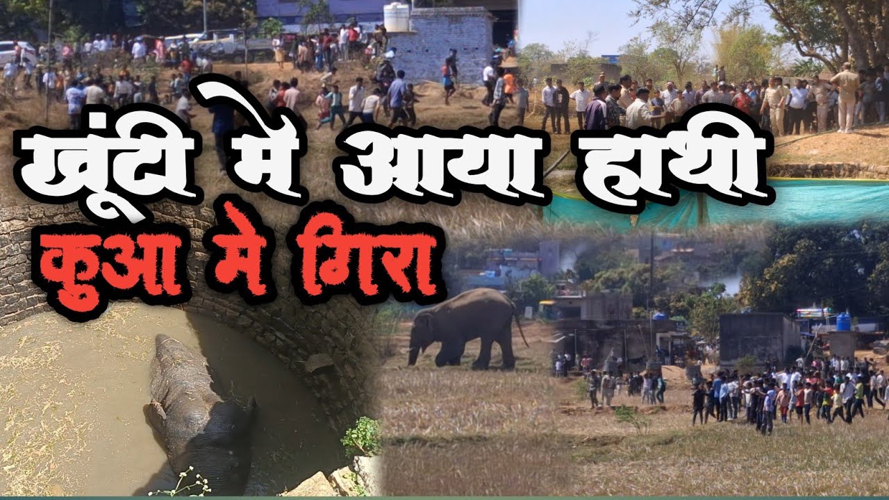  खूंटी मे हाथी / भारी संख्या मे लोगो की भीङ #2 March #2026 #elephant entry in #Khunti #mundari Vlog