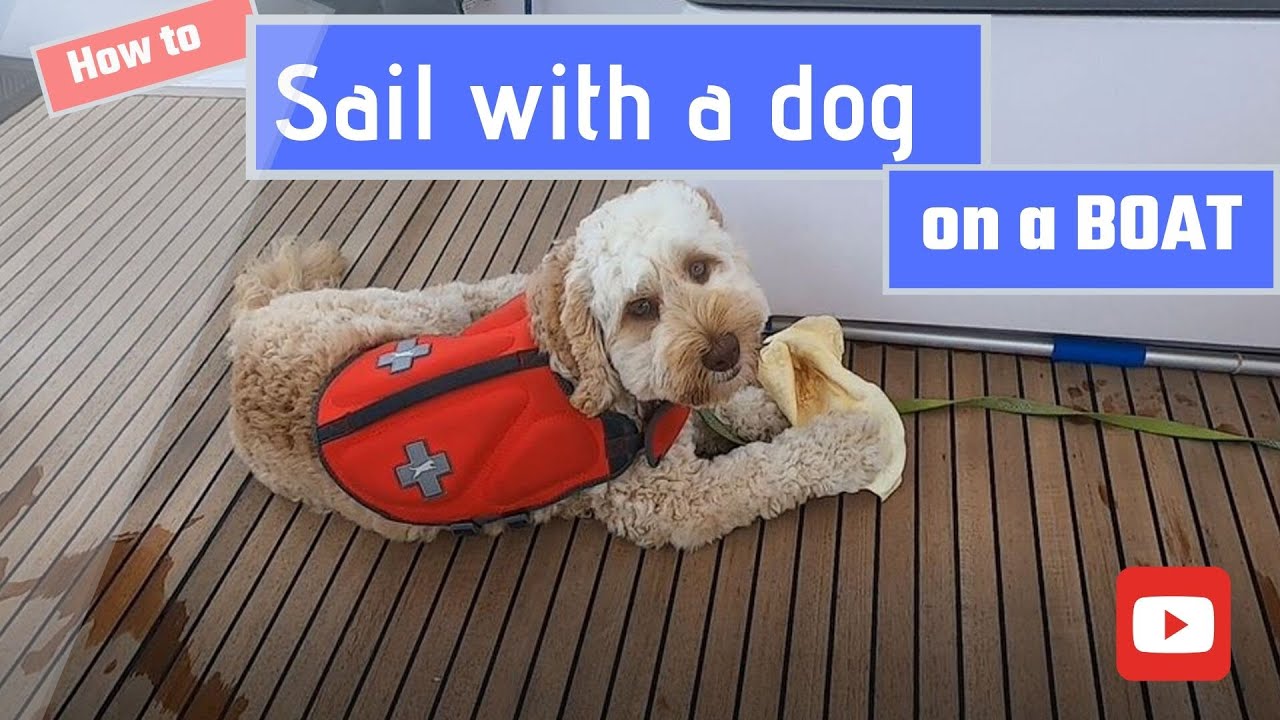 Ep 9. Sailing with a dog on board