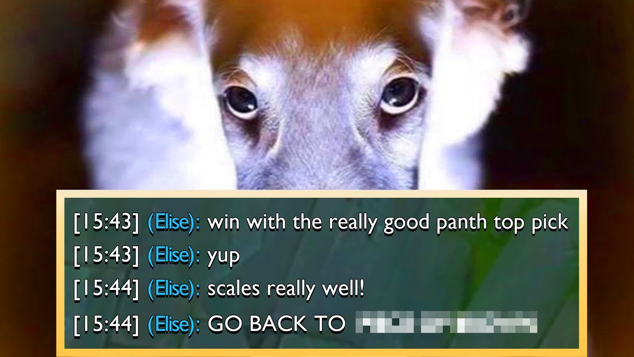 There Is No Way She Said This... | Spear Shot