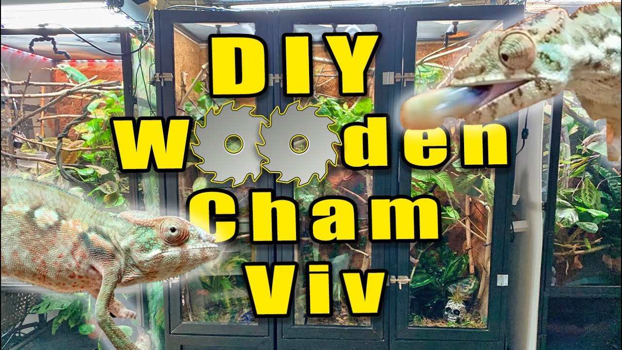 Самодельный биоактивный деревянный террариум для хамелеонов. Часть 1 (Сборка).